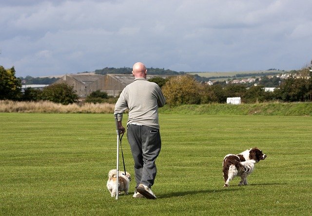 Training Dog Obedience Using Hand Signals